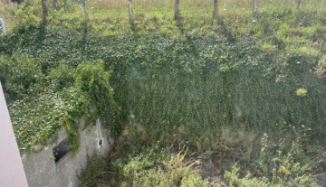 2023-07-09 11.38.45_640x480.jpg